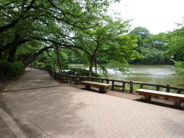 公園　井の頭公園（公園）まで1400m