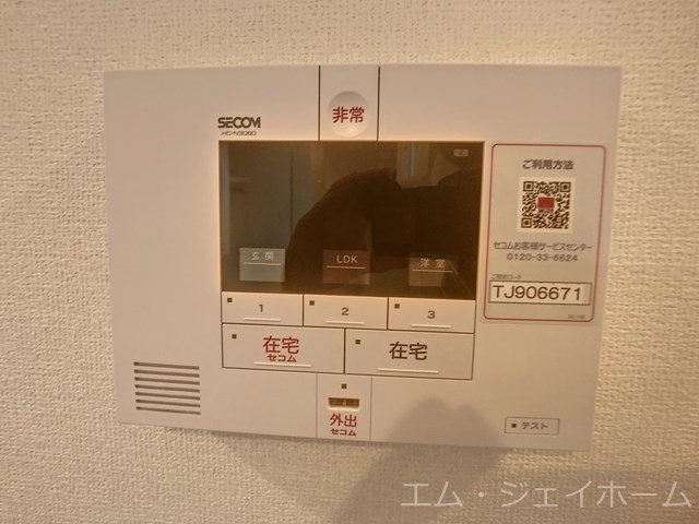Elegrantiaのその他写真