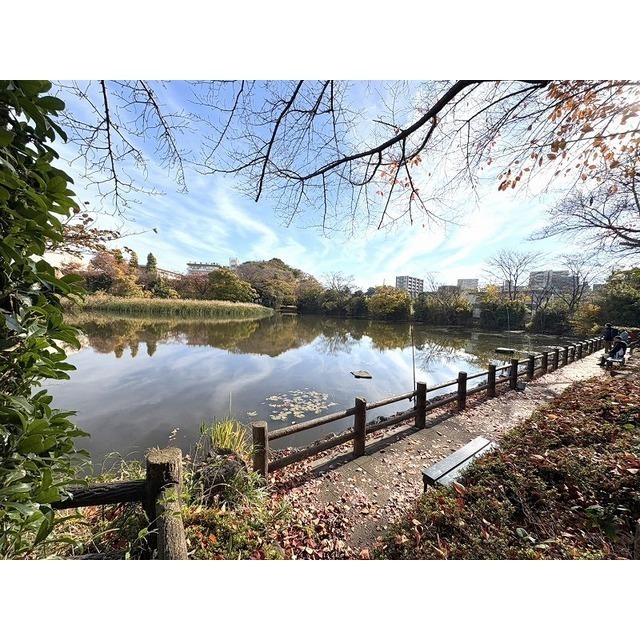 公園　白幡沼（公園）まで170m