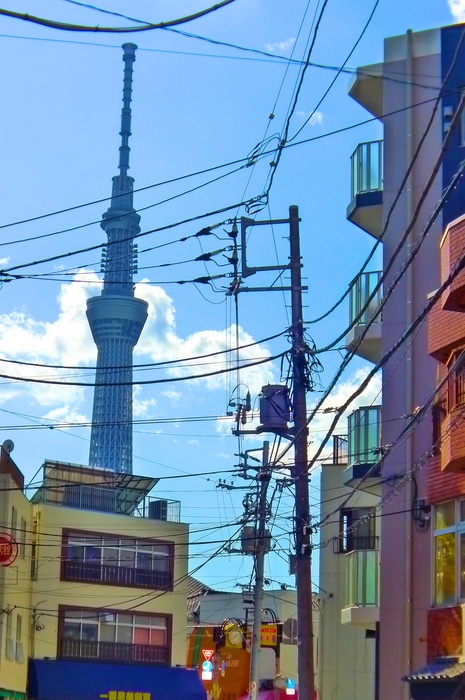 ニュ-三浦マンションのその他写真