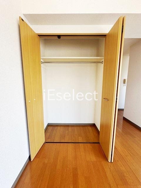 収納　クローゼット付きの洋室