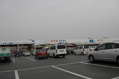 ホームセンター　ホームプラザナフコ 南宗像店（ホームセンター）まで234m