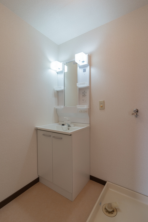 洗面設備　洗面化粧台＋洗濯機置き場