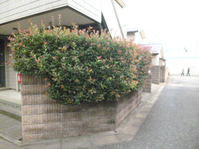 その他　★敷地内には緑がたくさん★