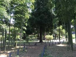 公園　関町北緑地（公園）まで458m
