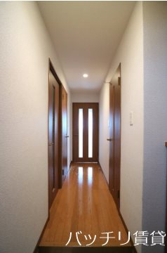 玄関　画像は別号室写真の為、現状を優先いたします。