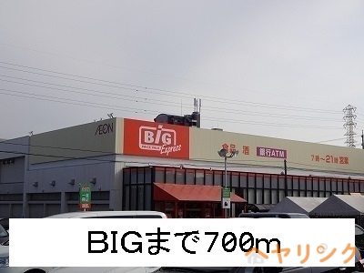 その他　ビッグ（その他）まで700m