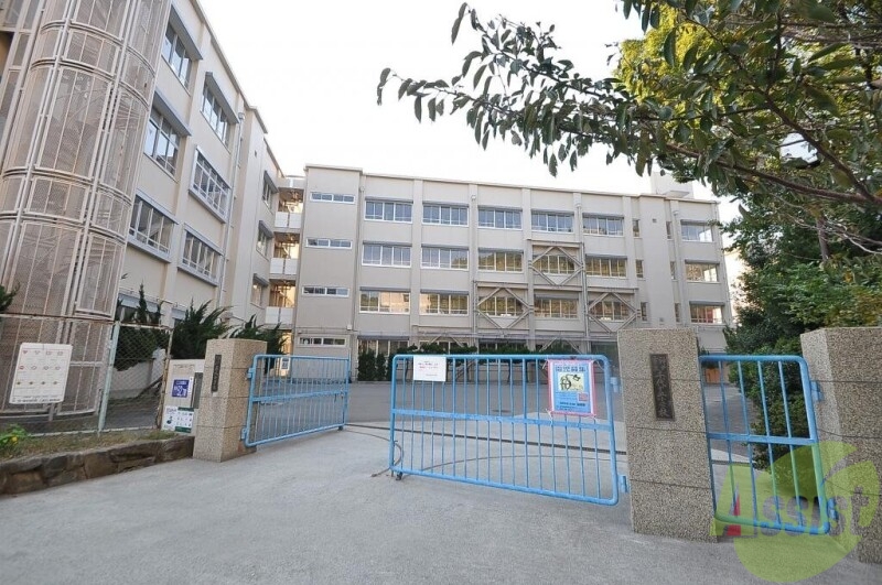 小学校　神戸市立千代が丘小学校（小学校）まで859m