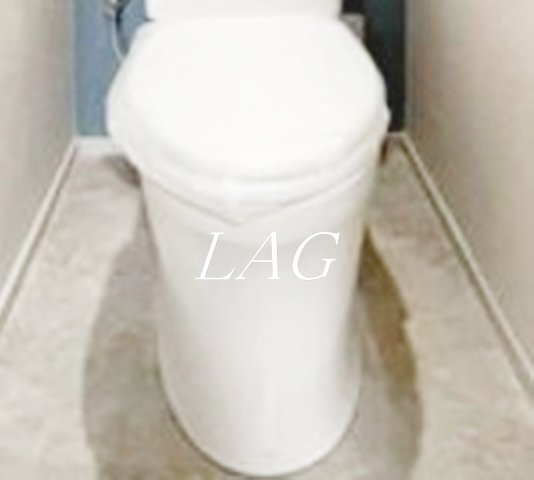 トイレ　トイレです。