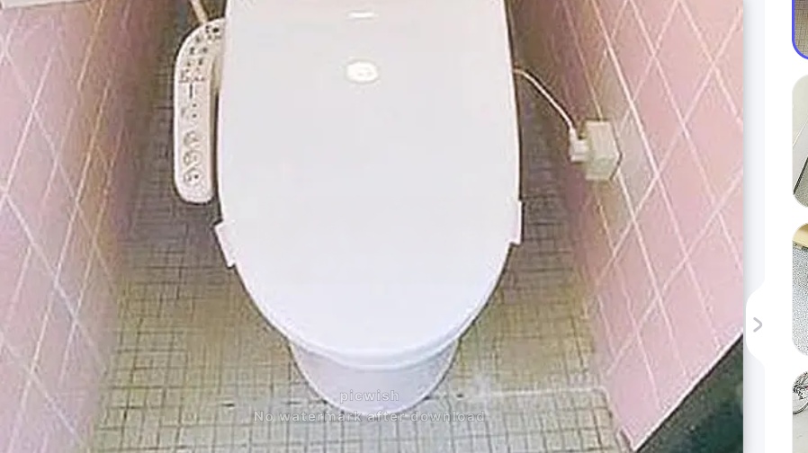 西武池袋線 江古田駅 徒歩3分 7階建 築55年のトイレ写真