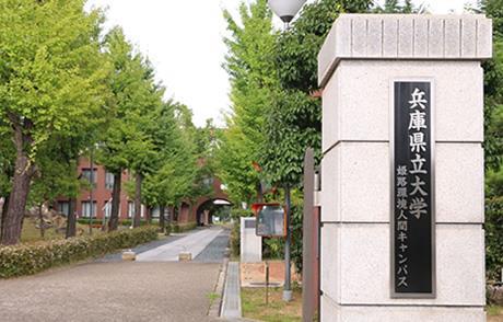 【フォープレックス宮前の大学・短大】