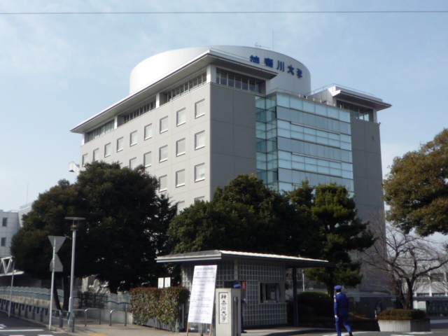 大学・短大　私立神奈川大学（大学・短大）まで903m