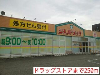ドラックストア　ドラッグストア（ドラッグストア）まで250m