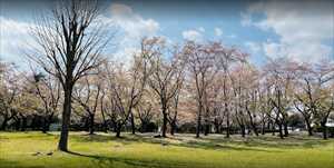 公園　天久保公園（公園）まで9m