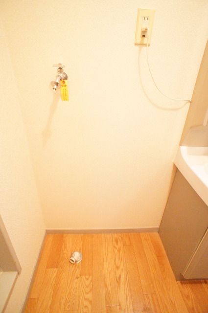 その他　室内洗濯機置場です。