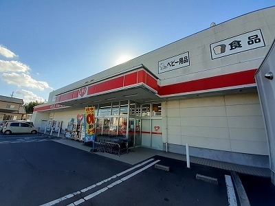 ドラックストア　レディ薬局牟礼店さん（ドラッグストア）まで1100m