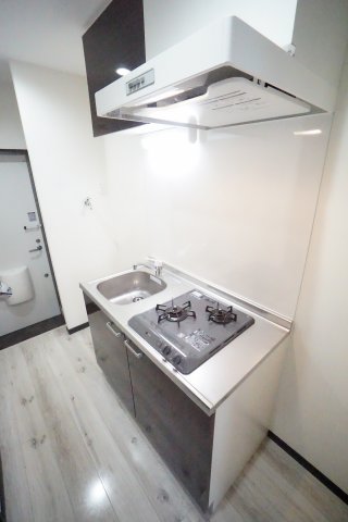 キッチン　※同物件・反転タイプの写真です。