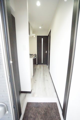 玄関　※同物件・反転タイプの写真です。