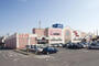 スーパー　オークワウィンディ岸和田店（スーパー）まで717m