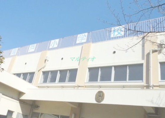 小学校　葛飾区立青戸小学校（小学校）まで1366m