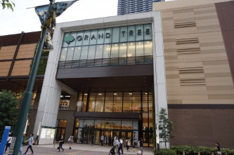 スーパー　イトーヨーカドー グランツリー武蔵小杉店（スーパー）まで151m