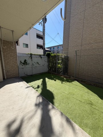 庭