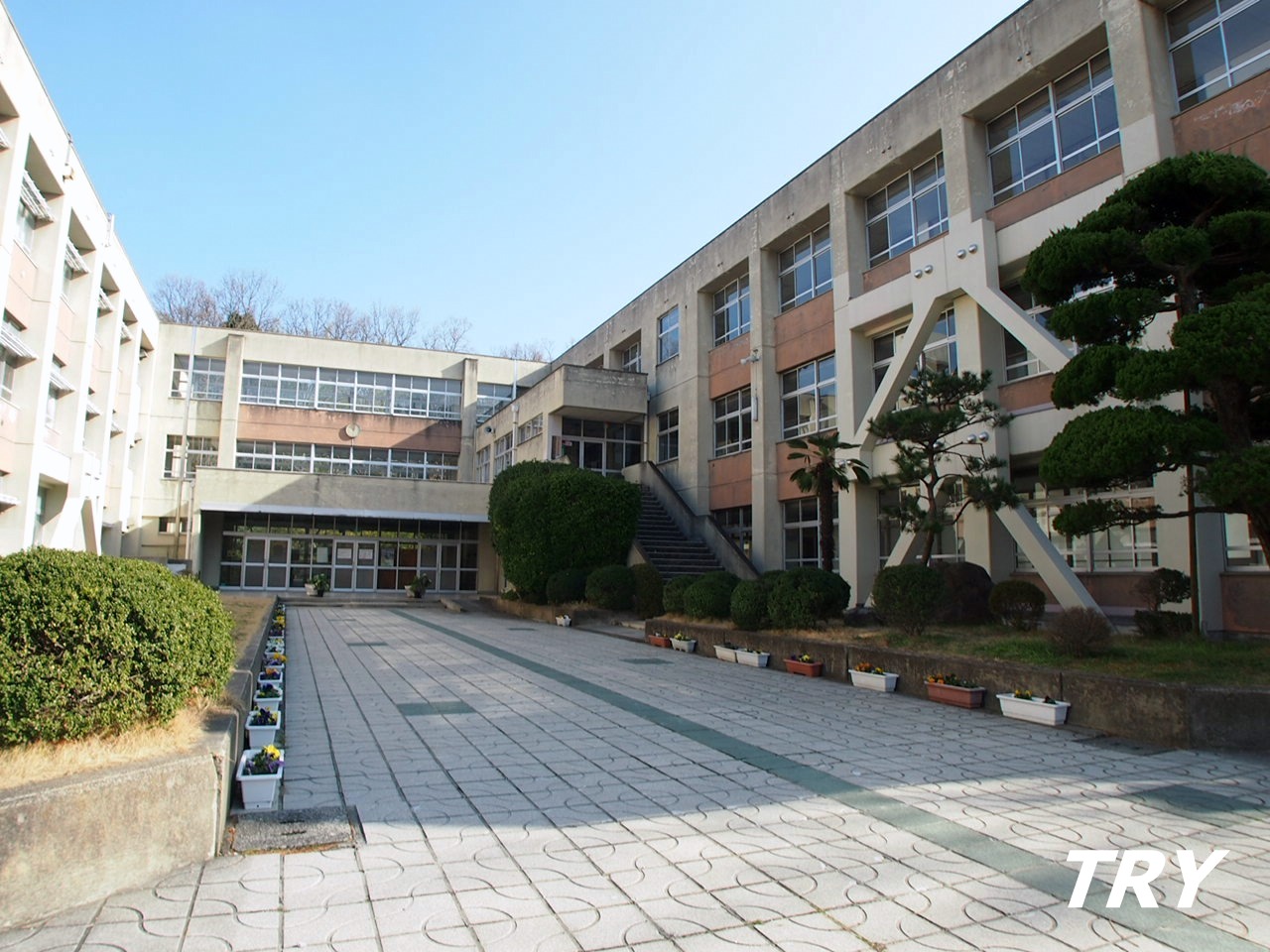 小学校　御所市立大正小学校（小学校）まで808m