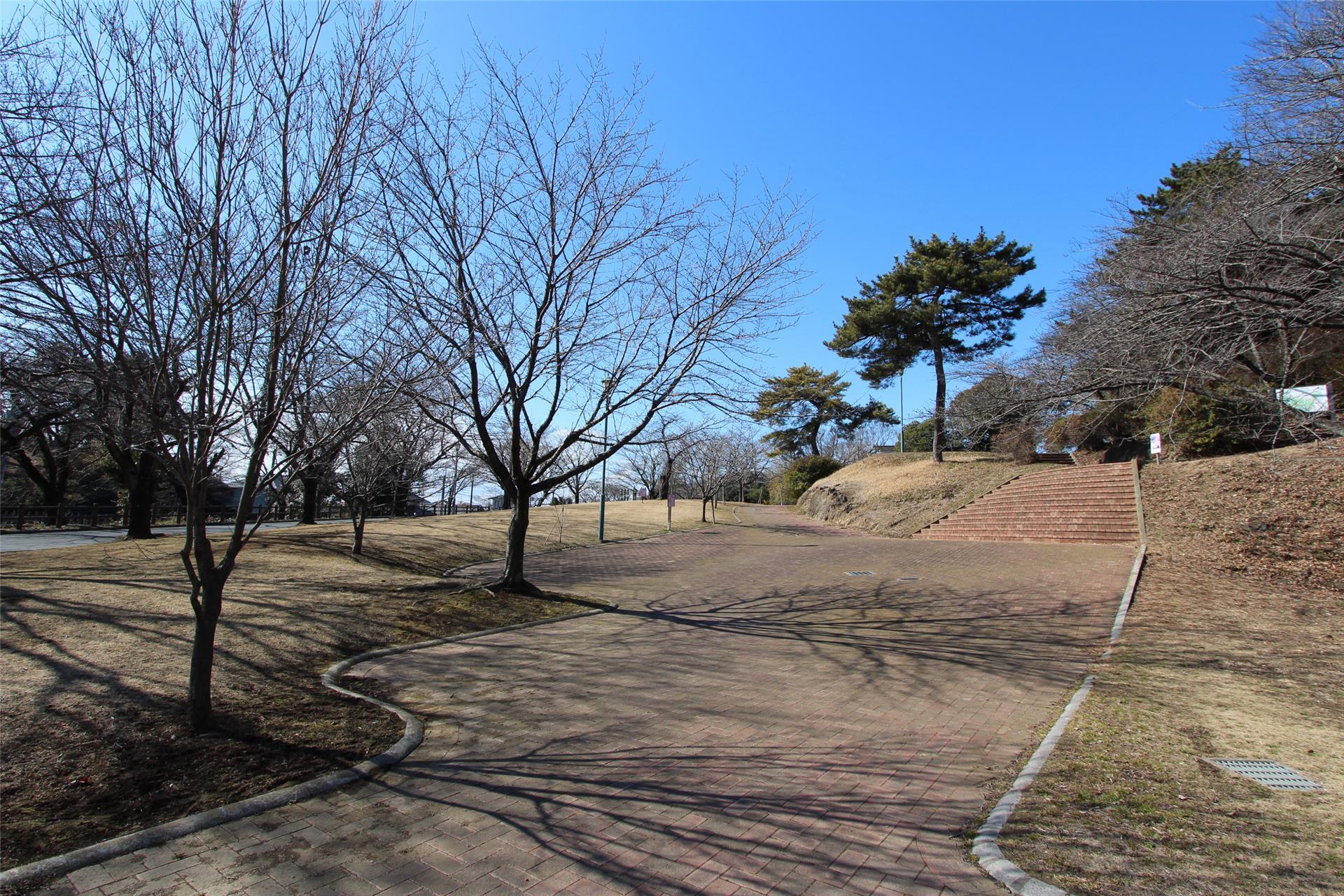 【セピアコートの公園】