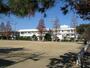 小学校　平島小学校（小学校）まで1800m