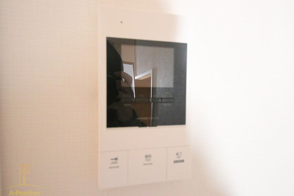 セキュリティ　TRICERA Court