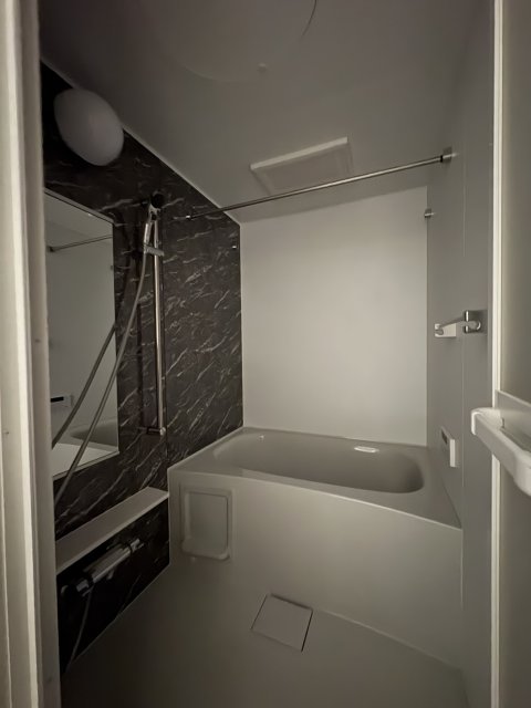 バス・シャワールーム　同物件別号室の写真です。