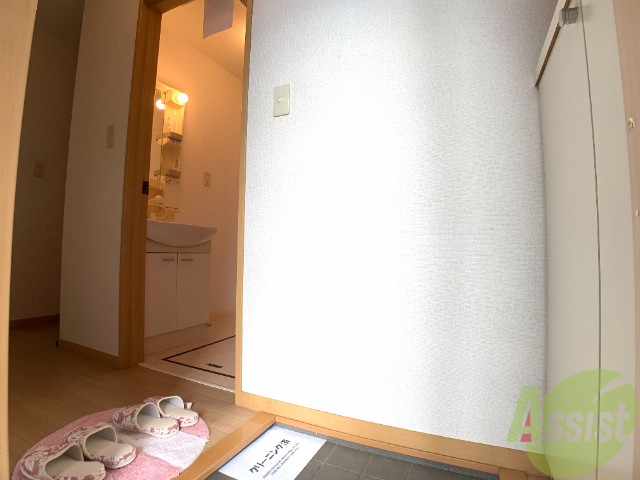 玄関　外から玄関を撮影してみました。広いリビングに繋がっています。