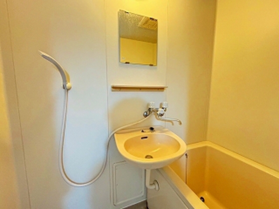 洗面設備　※別の部屋の写真です