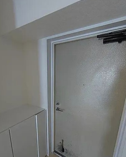 玄関　参考写真です