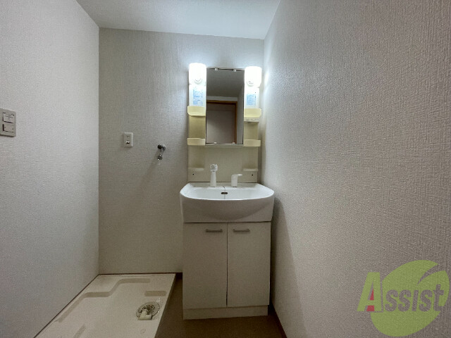 洗面設備　洗面台は、シャンプードレッサーの洗面台です。