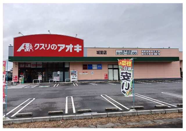 ドラックストア　カワチ薬品　城里店（ドラッグストア）まで1400m