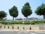 小学校　湖西市立新居小学校（小学校）まで981m