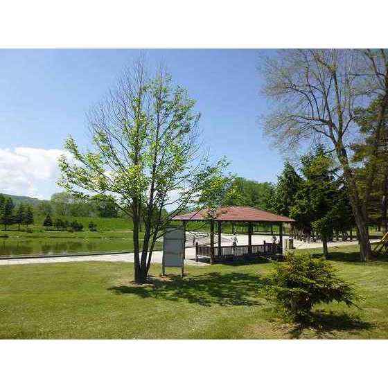 公園　常盤公園（公園）まで1493m