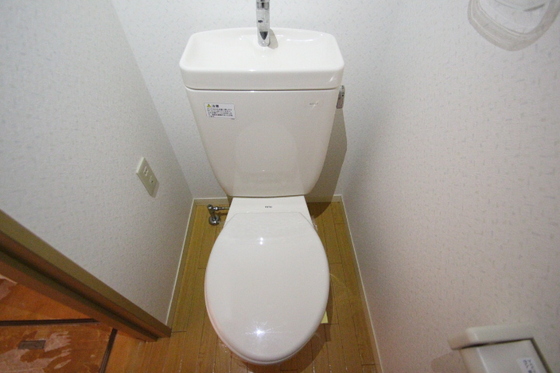 トイレ　他号室のお写真です