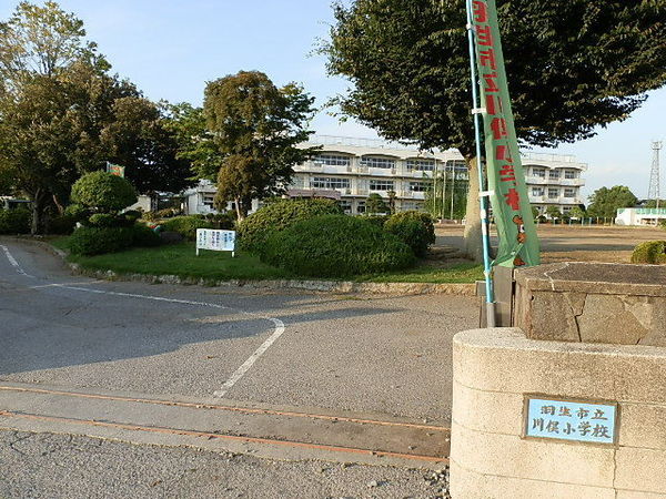 小学校　羽生市立川俣小学校（小学校）まで371m