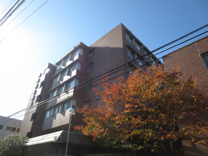 病院　河内総合病院（病院）まで550m