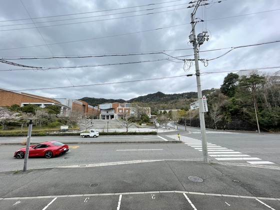 眺望　※別部屋の写真です