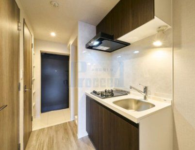 玄関　玄関部分