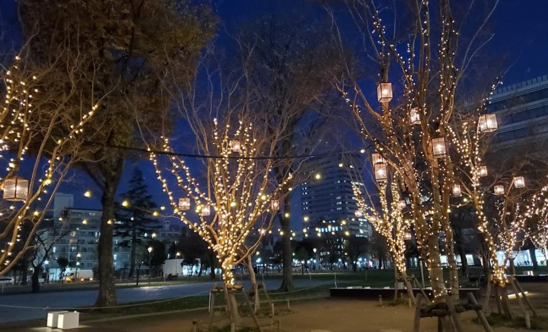 公園　中野区立中野四季の森公園（公園）まで1003m