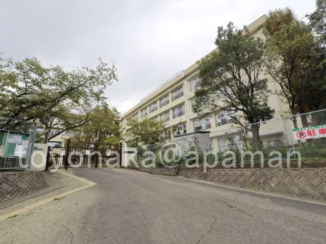 小学校　泉丘小学校（小学校）まで475m