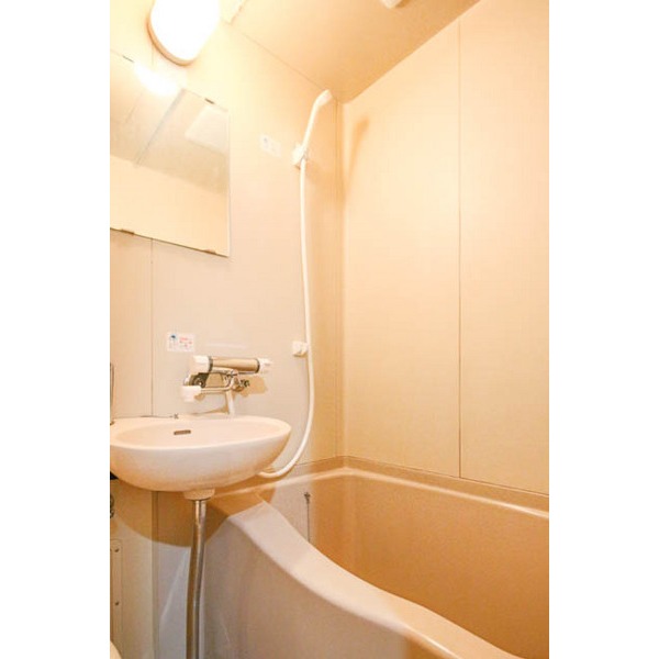 バス・シャワールーム　同じ建物の別なお部屋