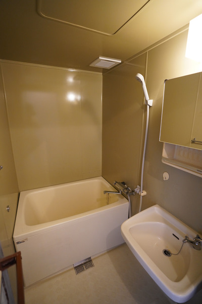 バス・シャワールーム　同じ建物の別なお部屋