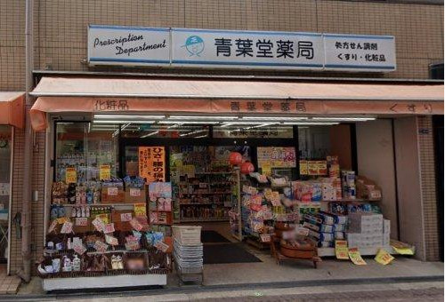 ドラックストア　青葉堂薬局 北田辺店（ドラッグストア）まで485m