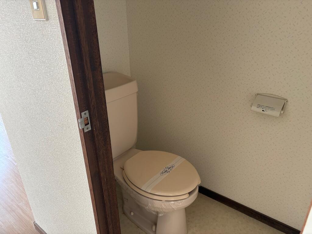 ビッグバーンズマンション谷山のトイレ写真