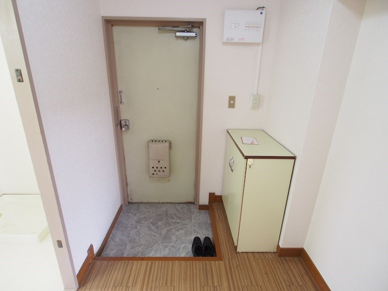 玄関　同仕様写真(反転タイプ)